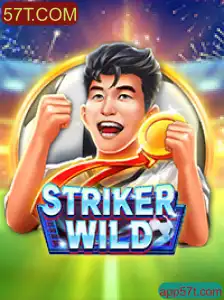 Explorando o Universo de StrikerWILD